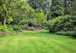 Optimiser l'expérience du jardin à La Chapelle-Montligeon